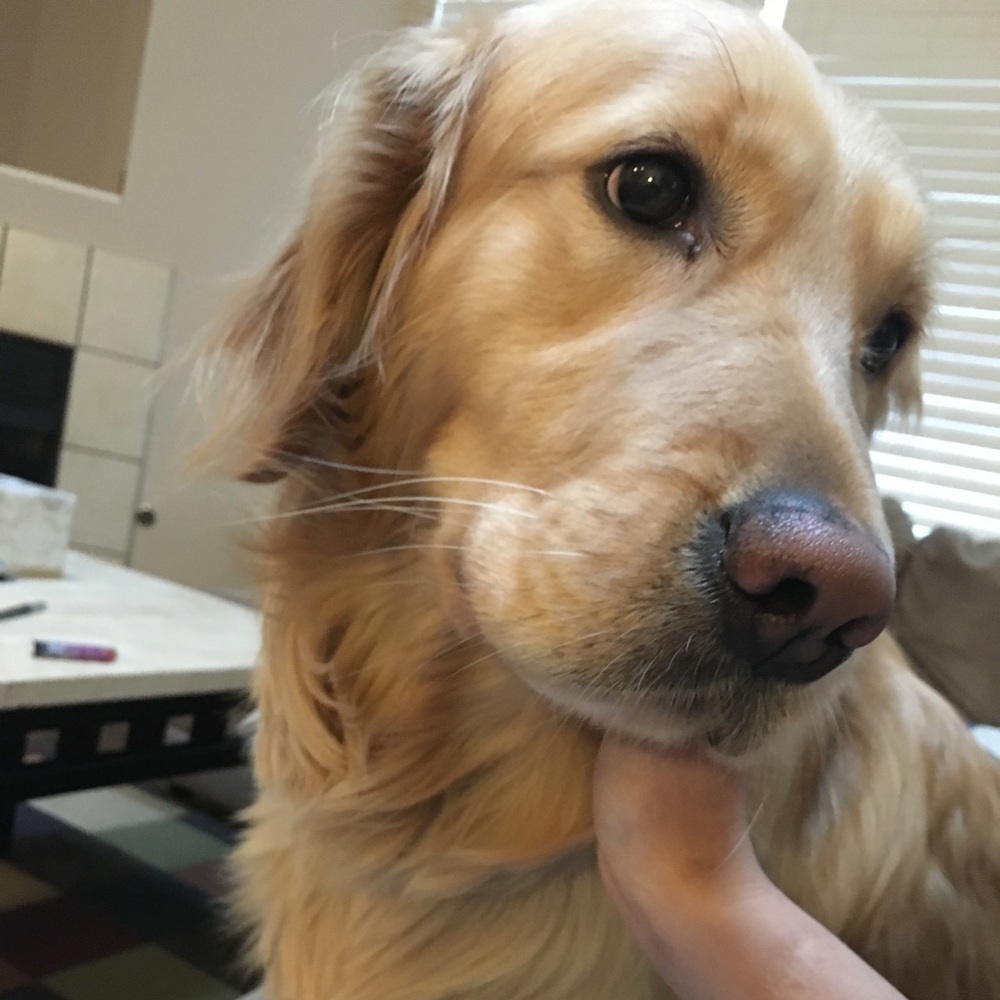 Meet your Posher, Sandra